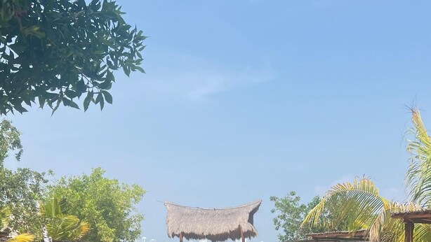 A beach with a thatched structure, wooden benches, and palm trees. - Earth bomb Susurros del Mar Cabin (Bolívar)