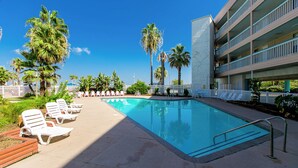 Un espace piscine avec des chaises longues et des palmiers.