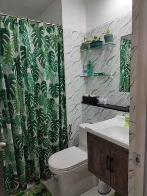 Shower, hair dryer, bidet, towels