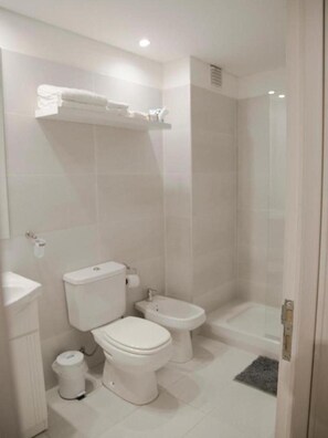 Hair dryer, bidet, towels, soap