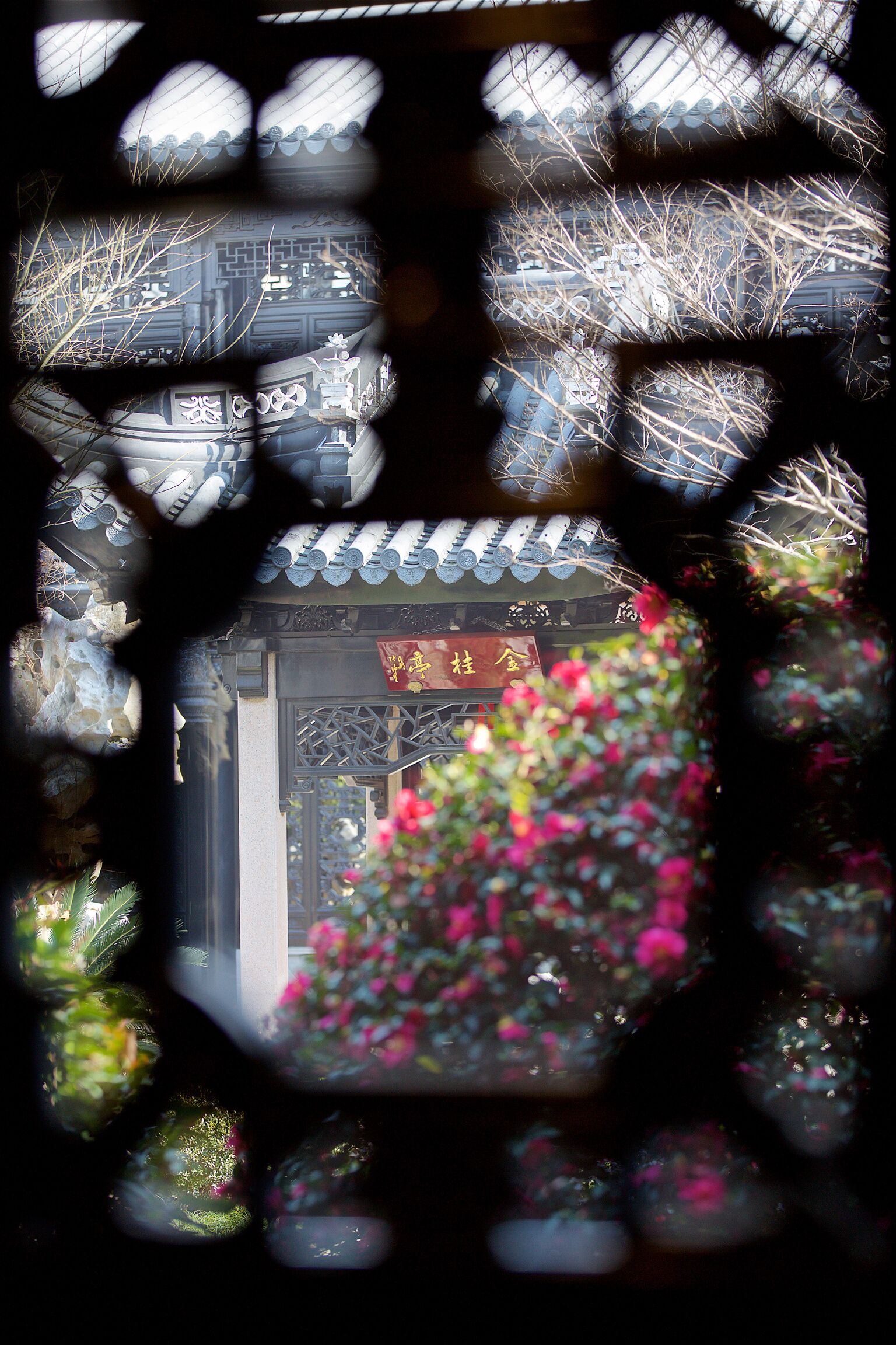 花園景