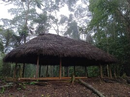 Una cabaña con techo de paja y un banco de madera en un área boscosa.