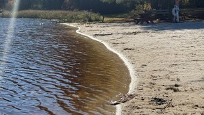 Ranta, jonka yllä on kirkas taivas, ja siellä on myös puita sekä piknikpöytä.