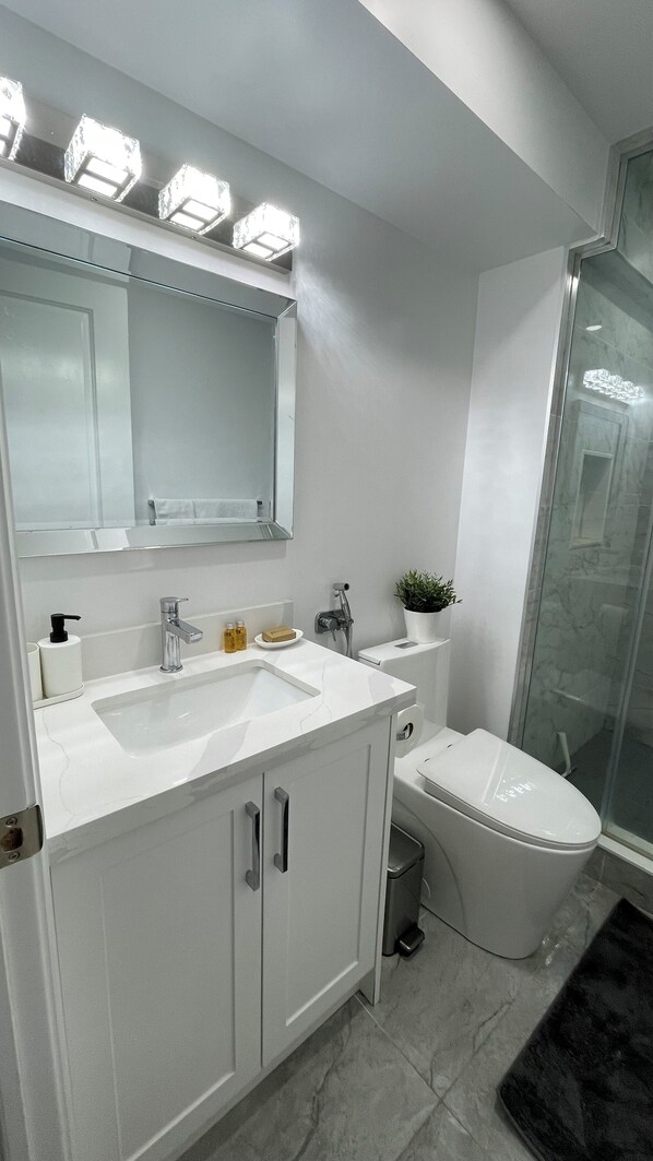 Regadera, secadora de cabello, bidet, toallas 
