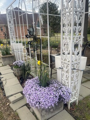 Terrein van de accommodatie