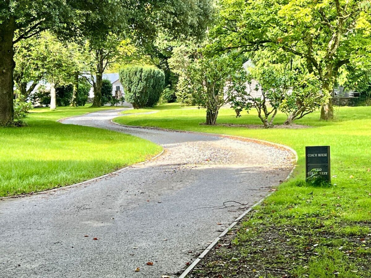 Une route sinueuse traversant un parc, avec un panneau indiquant « Conch House » et « Wild Stream Terrace ».