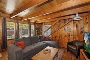 Signature Cabin | Living room | 50-inch Smart TV with digital channels, fireplace, video library