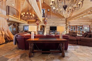 Una televisión, una chimenea, un reproductor de DVD, libros