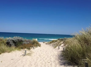 Camastros y toallas de playa 