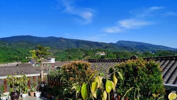 Un jardín en la azotea con plantas en macetas y vistas a montañas distantes.