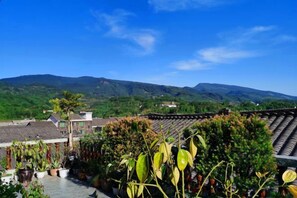 A rooftop garden with potted plants and a view of distant mountains.