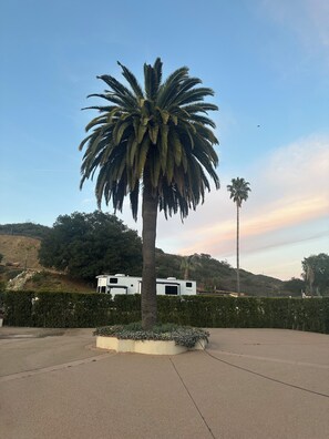 Overnattingsstedets uteområder