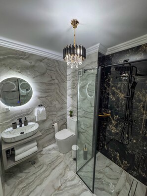 Shower, hair dryer, towels, soap