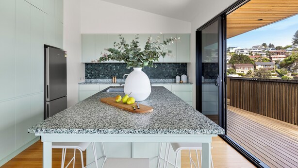 Une cuisine moderne avec un plan de travail en granit, un grand vase orné de plantes et une vue sur un quartier résidentiel.