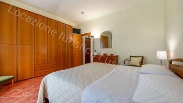 1 slaapkamer, een strijkplank/strijkijzer, internet