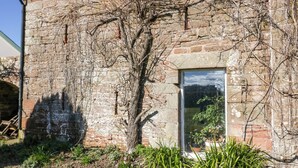 A rustic stone building with a small window and a tree in front. - The Roost (Carlisle)