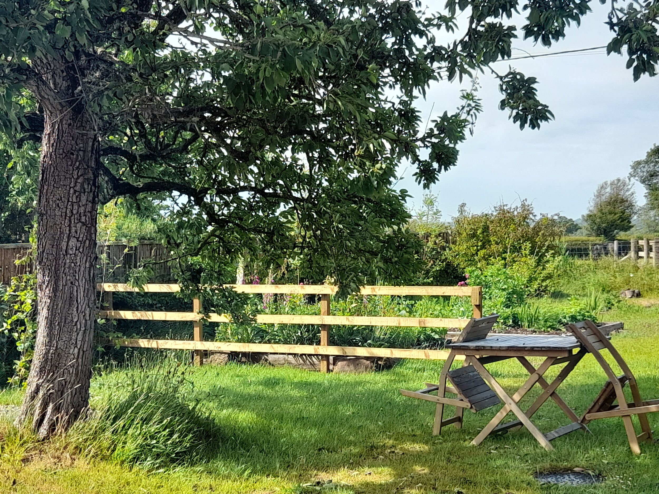 A wooden fence, a table with chairs, and a tree in a grassy area.