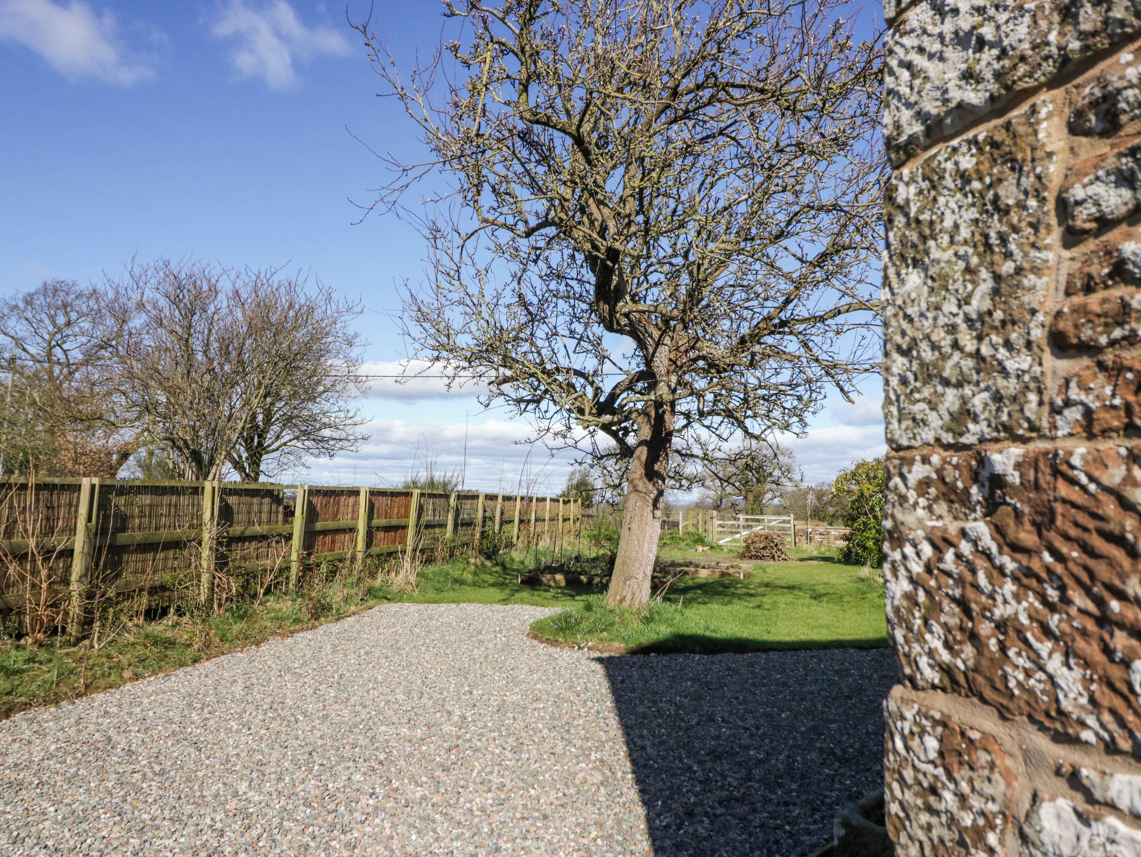 A gravel path leading to a stone wall with a tree in the center.