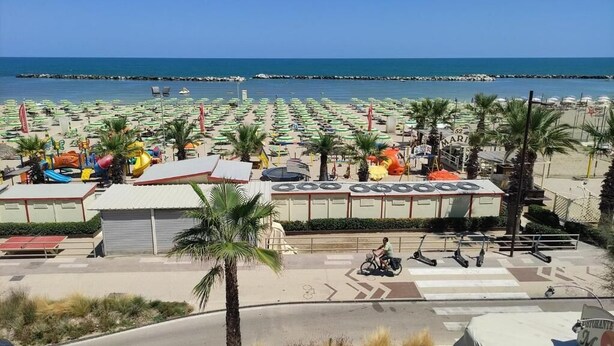 Una playa con hileras de sombrillas y sillas, algunas palmeras y una vista despejada del mar.