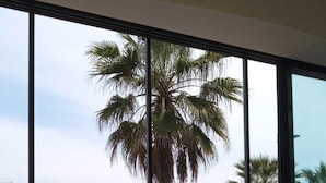Un área de estar al aire libre con sillas de mimbre y una mesa redonda, con vista a palmeras y un edificio con el número 52.