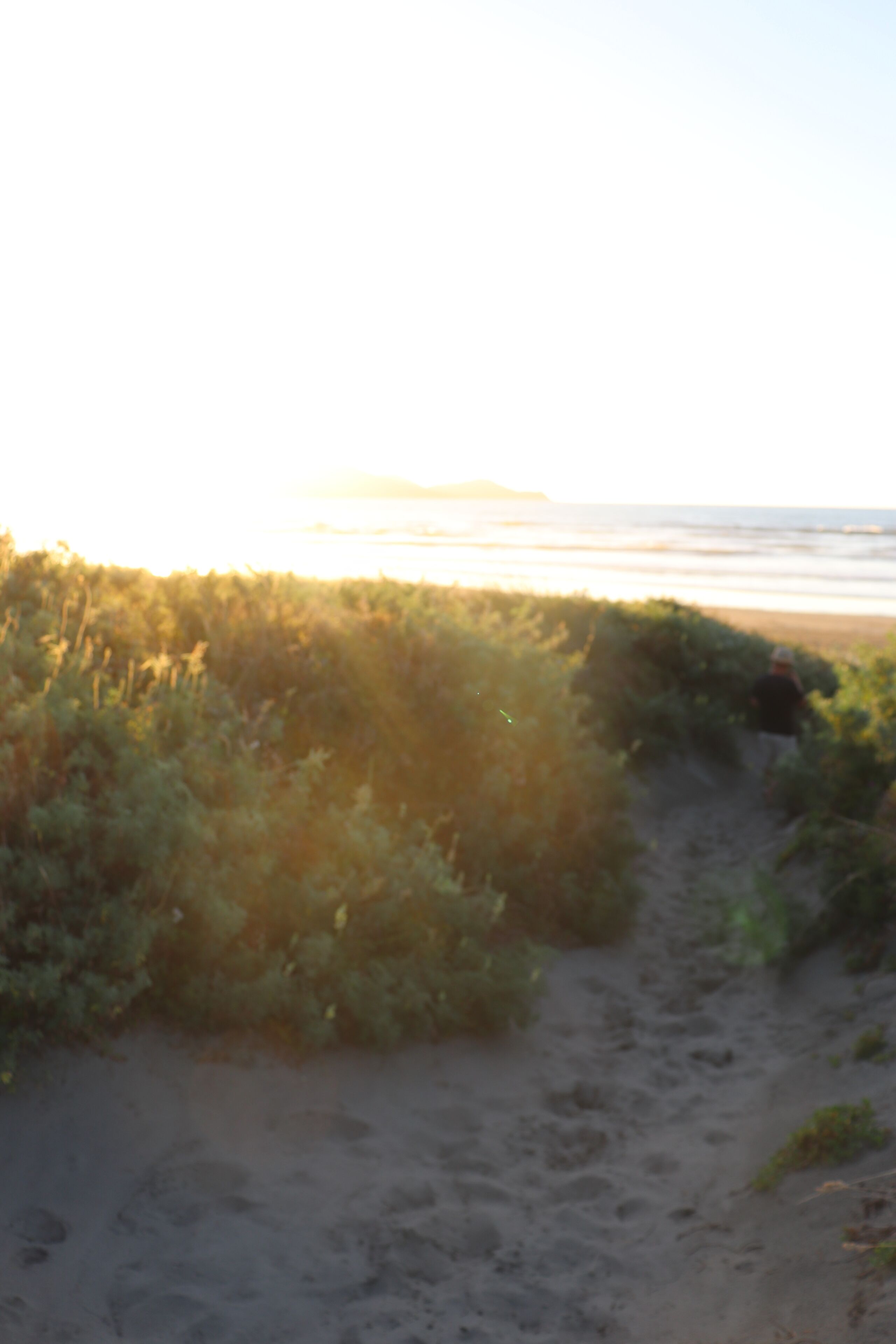 Een zandpad dat naar een strand leidt, met begroeiing aan de zijkanten.