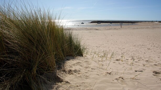A beach with sand, grass, and a clear sky. - Rose-May by Interhome (La Bernerie-en Retz)