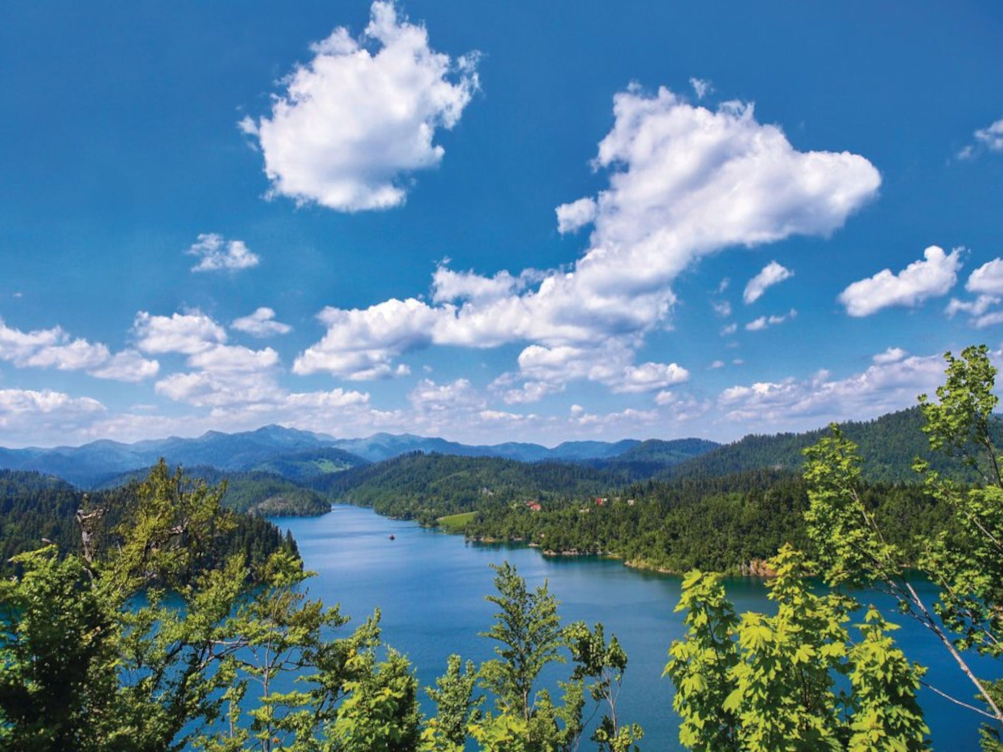 Une vue panoramique d’un lac entouré de montagnes et de forêts denses.