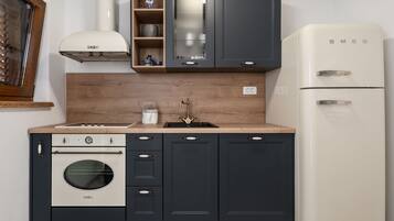 Fridge, oven, dishwasher, cookware/dishes/utensils