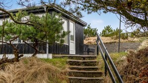 A rustic cabin with a stone staircase leading to a wooden door, surrounded by pine trees and dry grass.