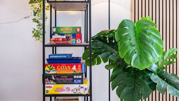 A bookshelf with board games, a lamp, and a large plant.