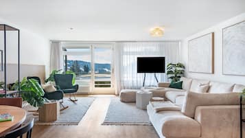 Télévision, cheminée