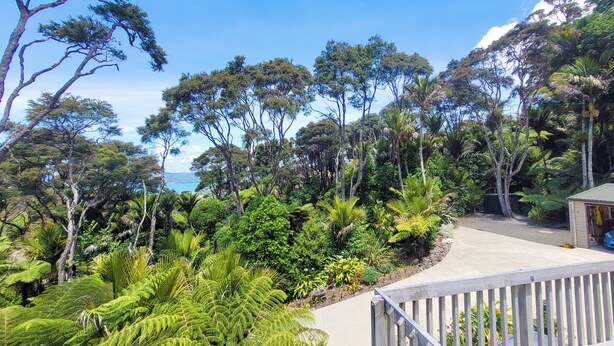 A lush garden with various trees and ferns, a wooden deck, and a view of the ocean. - Annabells Bed and Breakfast (Whitianga)