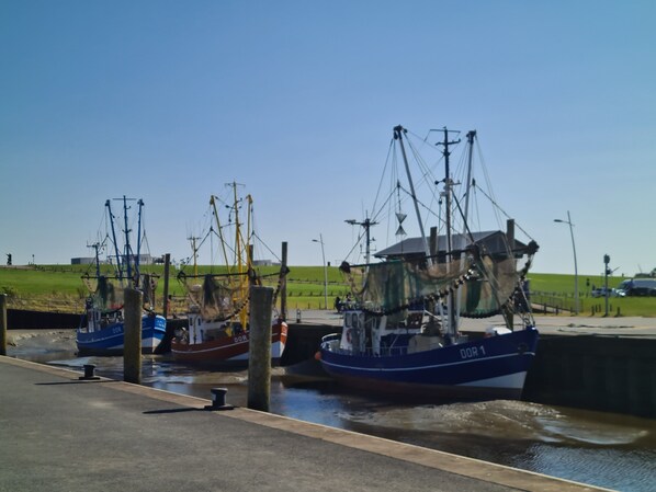 Marina/club náutico
