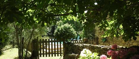 Área da propriedade