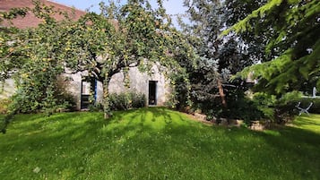 Esterni