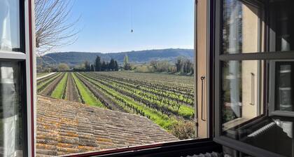 Mas provençal , dans les vignes a proximité du centre historique du village