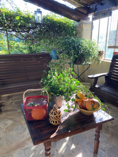 Mas provençal, in the vineyards near the historic village center