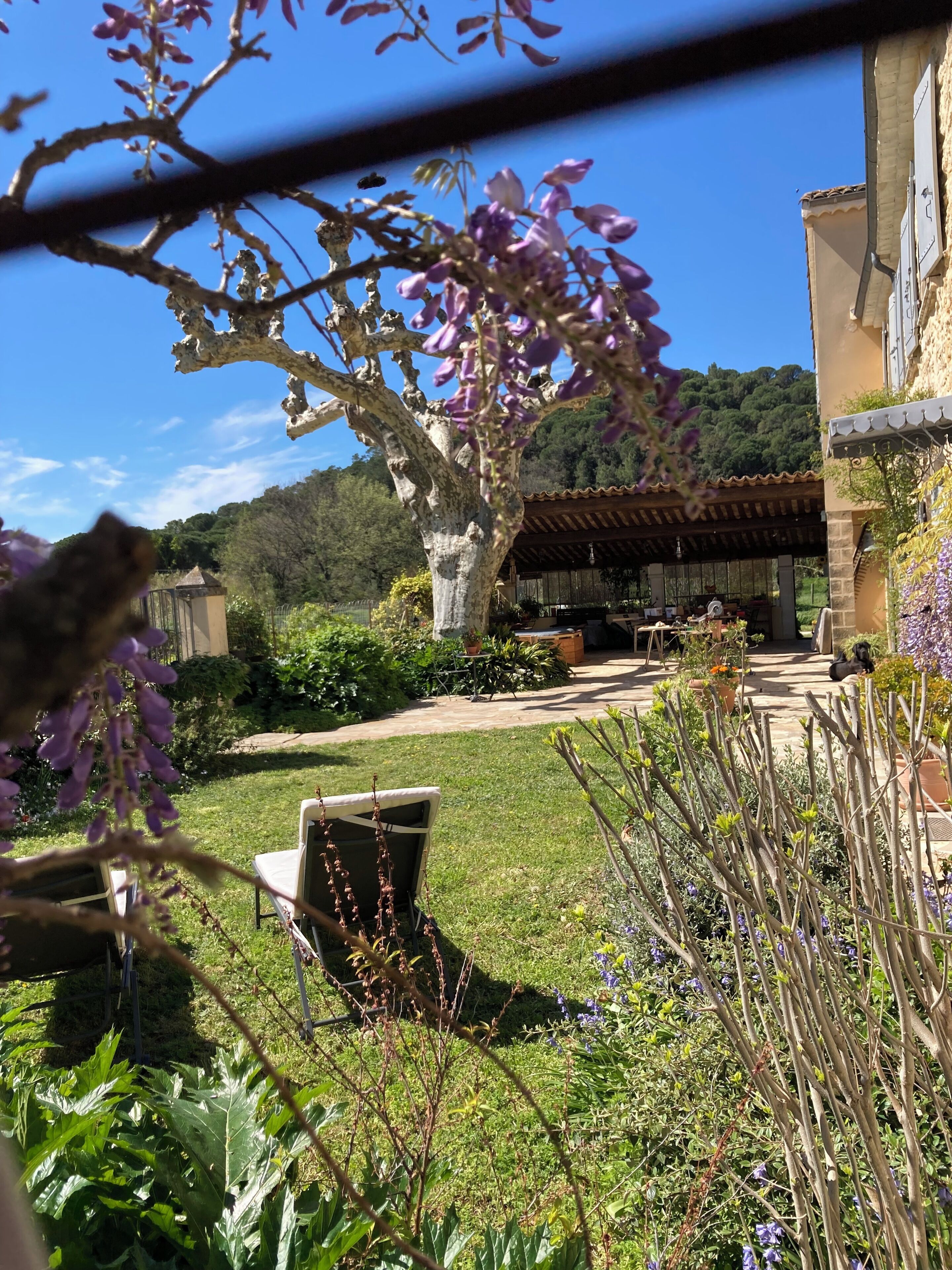 Jardines del alojamiento