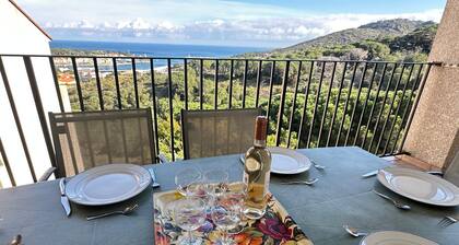 Family home in Port-Vendres with stunning view for 6 people