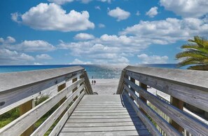 A wooden boardwalk leading to a beach with clear skies and a palm tree.