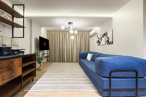 Basic Apartment | Living area | TV