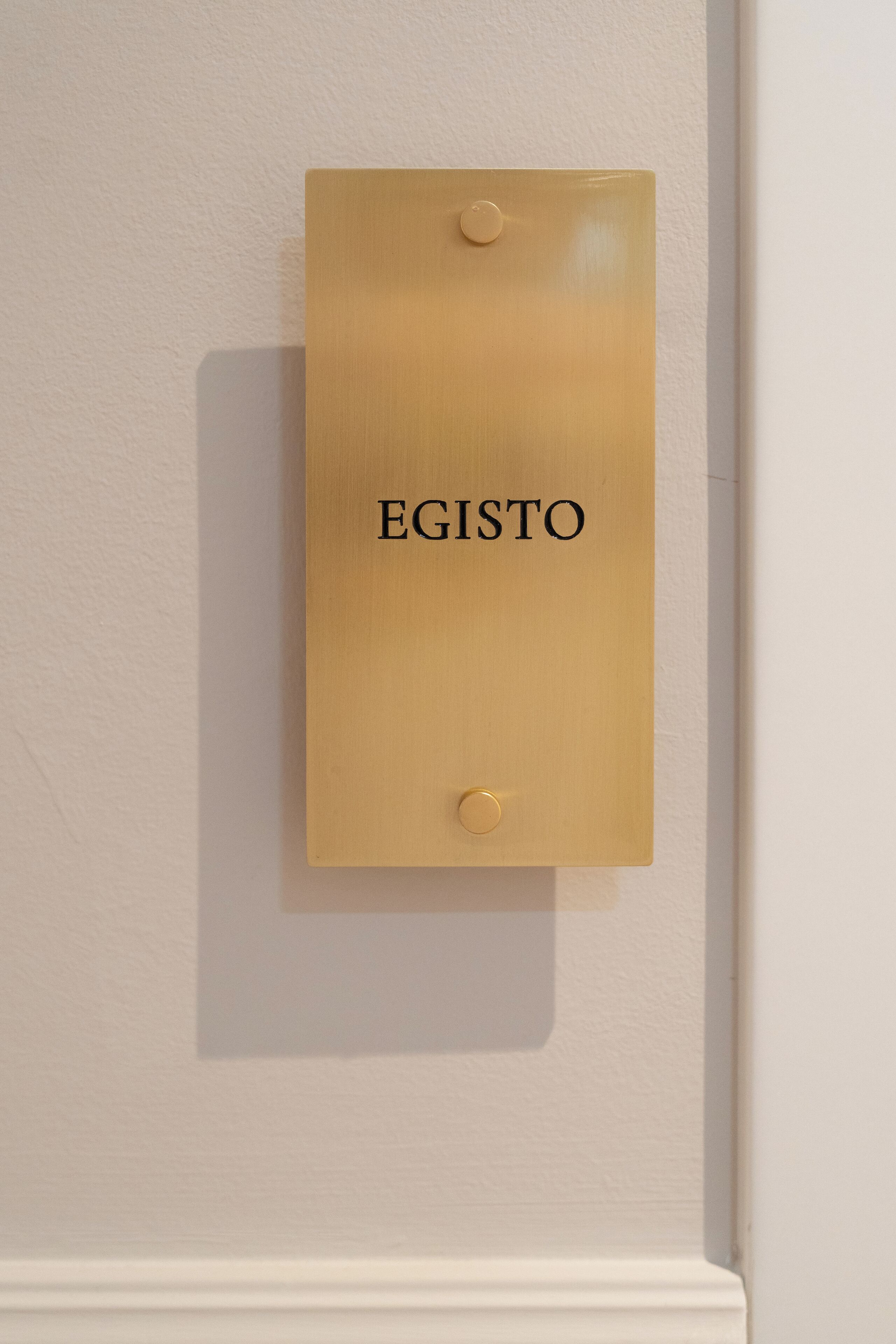 En trænavneskilt med ordet "EGISTO" monteret på en væg.