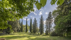 Uklassifisert bilde, 5 av 26, knapp