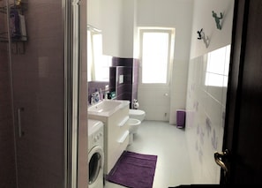 Shower, hair dryer, bidet, towels
