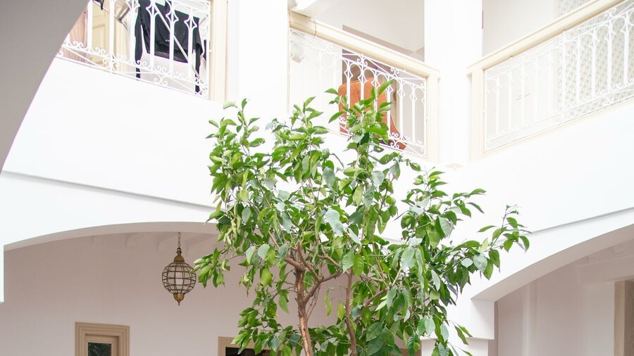 Riad À L'Ombre Des Orangers