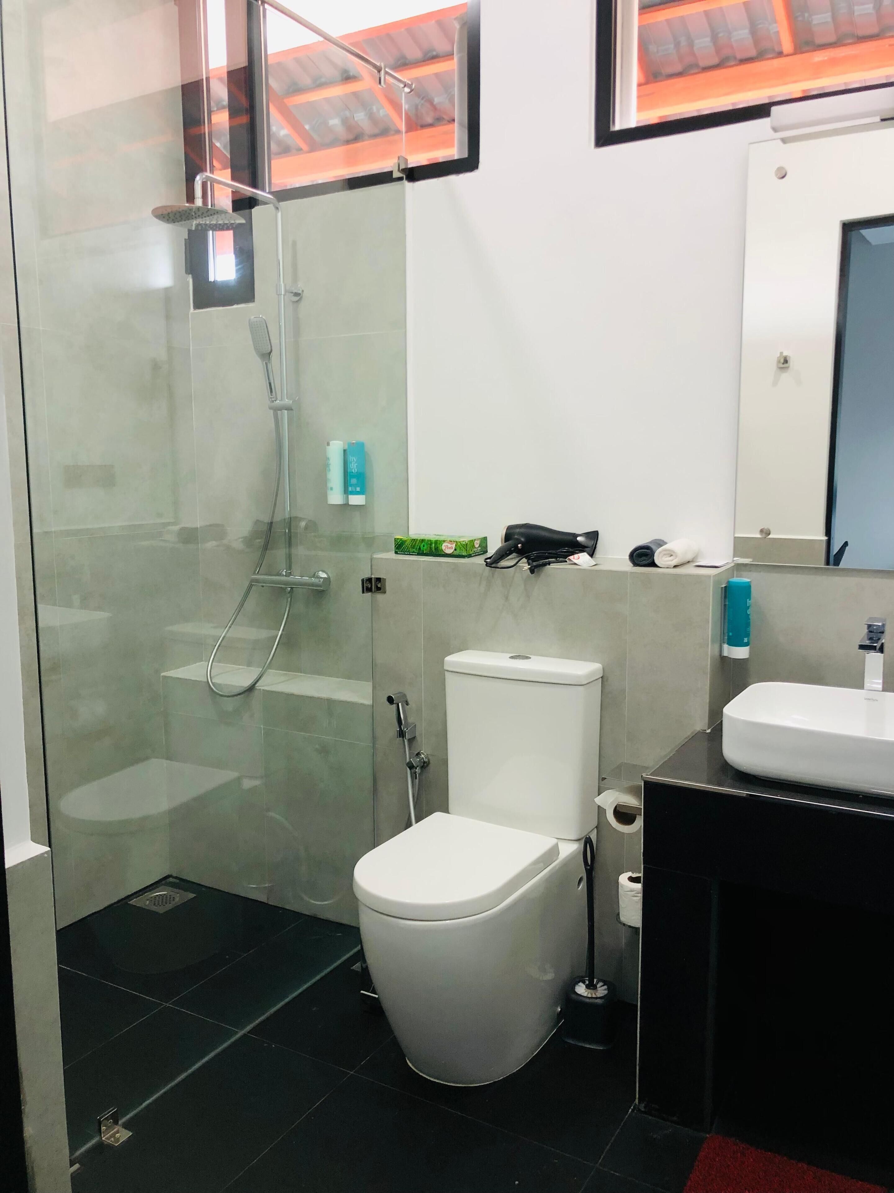 A modern bathroom with a glass-enclosed shower, a white toilet, a black sink, and a mirror above the sink.