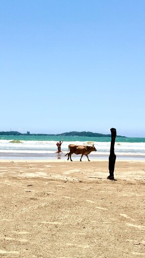 En la playa, camastros, sombrillas y toallas de playa 
