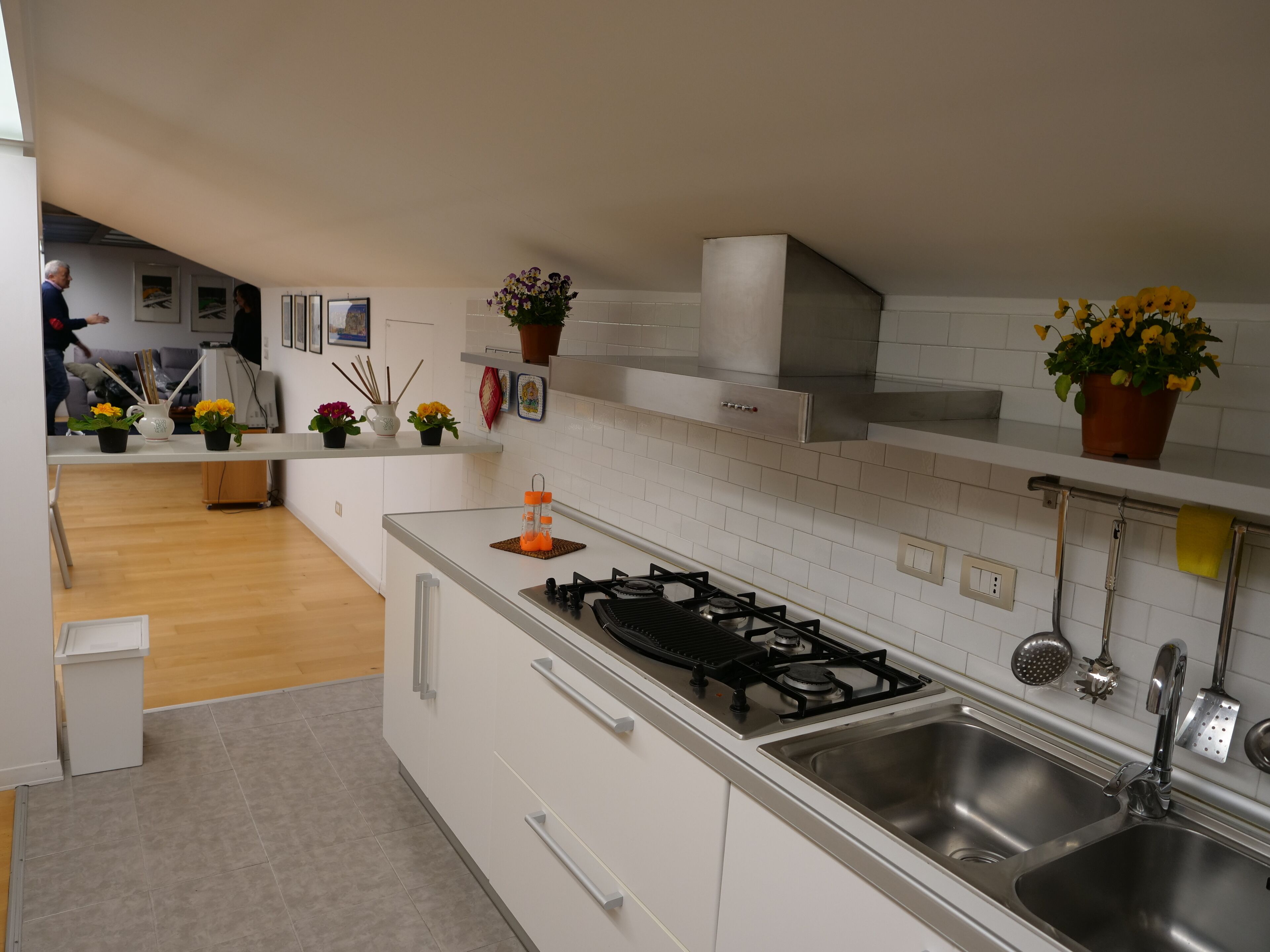 Kühlschrank, Ofen, Herdplatte, Geschirrspüler