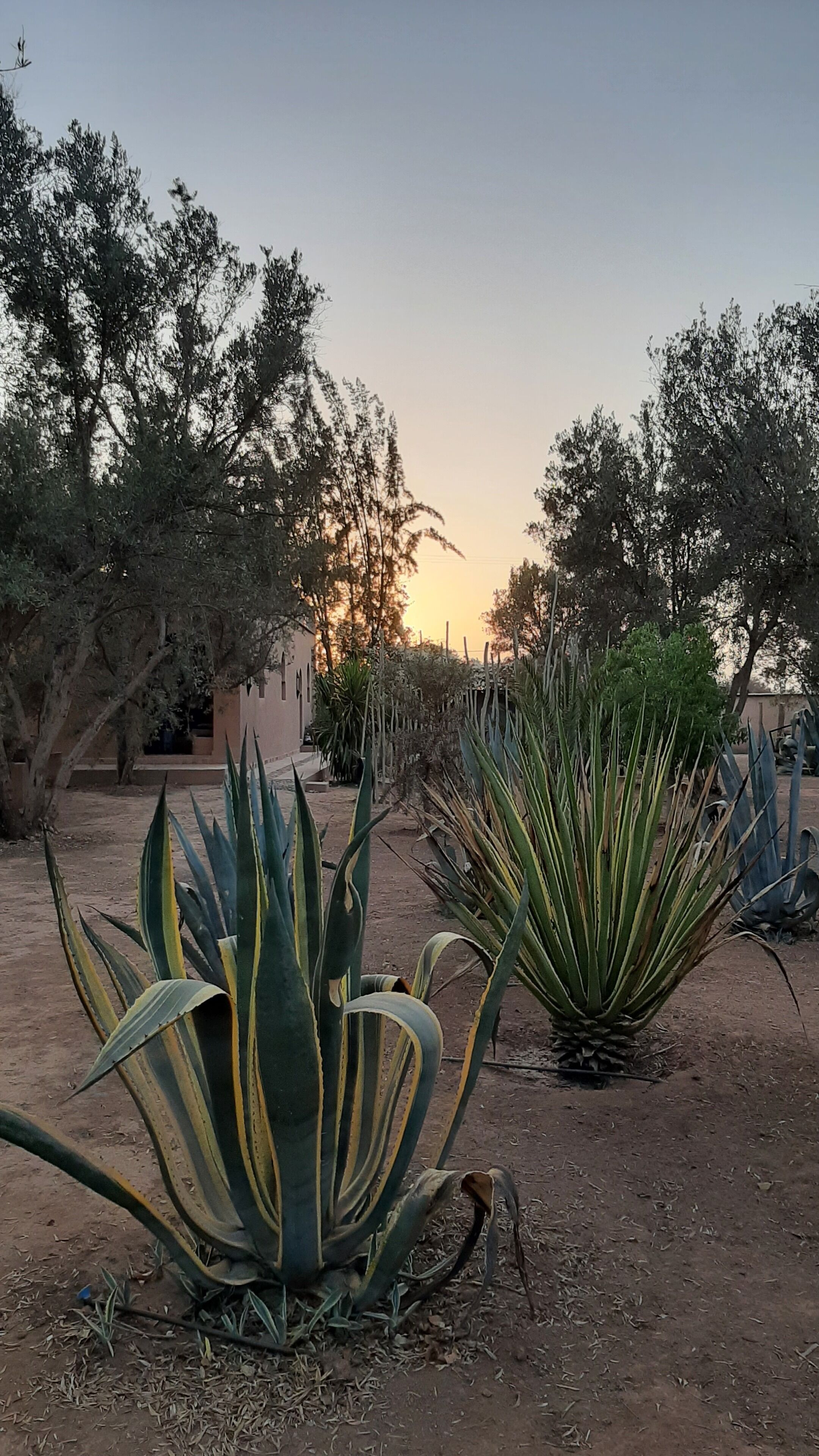المنشأة من الخارج
