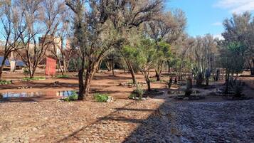 A garden with various trees, a small pond, and a paved walkway.